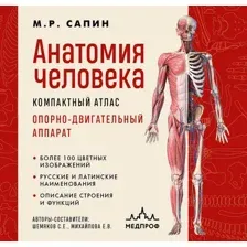 Нехудожественная книга МЕДПРОФ Анатомия человека. Компактный атлас (Сапин Михаил, 9785041848118)