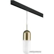 Подвесная люстра Lightstar Ramo PRO690113