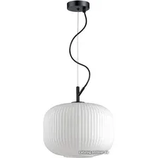 Подвесная люстра Odeon Light Roofi 4754/1