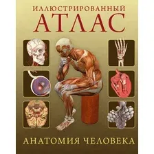 Энциклопедия Махаон Атлас Анатомия человека, твердая обложка (Роубак Джейми)