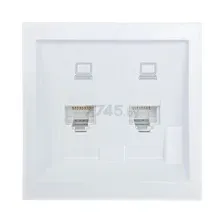 Розетка компьютерная двойная LEZARD Zima белый (704-0288-141)