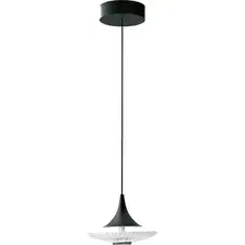 Подвесная люстра Favourite Wilet 4656-1P