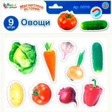 Развивающая игра Десятое королевство Магниты Овощи 02709