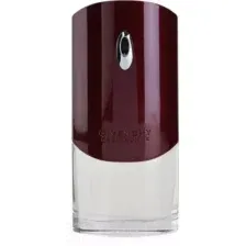 Туалетная вода Givenchy Pour Homme (100мл)