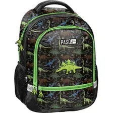 Школьный рюкзак Paso PP26DR-260