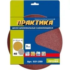 Набор шлифлистов ПРАКТИКА Профи / 921-299 (5шт)