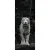 Картина Stamprint Белый тигр AN019 (125x50)