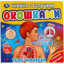 Книга с большими окошками. Тело человека