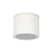 Светильник уличный потолочный Arte Lamp PIAUTOS A1913PF-1WH
