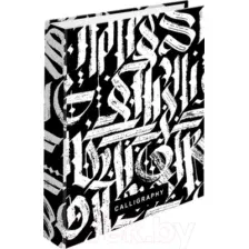 Тетрадь Brauberg Calligraphy / 404097 (240л)