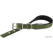 Ошейник Ferplast Daytona Deluxe C20/43 77202117 (черный/зеленый)