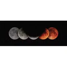 Картина Stamprint Цвета затмений SC005 (30x80)