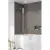 Стеклянная шторка для ванны Radaway Nes PND II 100L