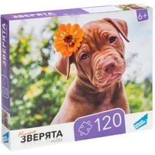 Пазл Dream Makers Зверята RI1203C