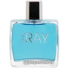 Туалетная вода Dilis Parfum Blue Ray EdT 100 мл