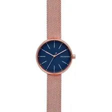 Наручные часы Skagen SKW2593