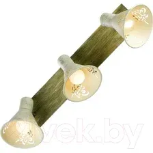 Спот Lussole LGO Mcconnico LSP-8059