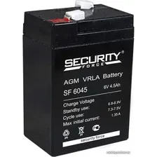 Аккумулятор для ИБП Security Force SF 6045 (6В/4.5 А·ч)