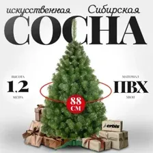 Сосна Erbis Sosna Сибирская 120