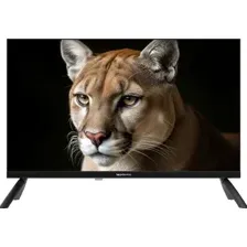 Телевизор Topdevice 24" TDWC24BH1000I