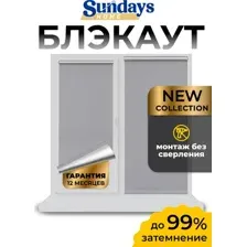 Рулонная штора Sundays Home LM 168-07 78x215 (серый)