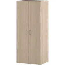 Шкаф комбинированный С-016Р