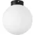 Припотолочная люстра Lightstar Globo 812027
