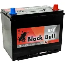 Автомобильный аккумулятор Black Bull Asia EFB JR (75 А·ч)