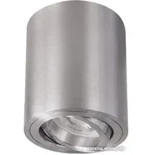 Точечный светильник In Home НПБ Цилиндр-GU10-RT-CH 4690612046624