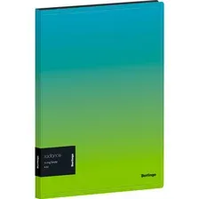 Папка для бумаг Berlingo Radiance / RB4_4D003 (голубой/зеленый)