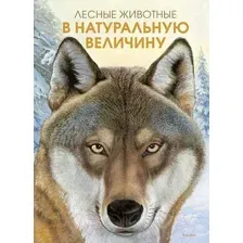 Энциклопедия Махаон Лесные животные в натуральную величину (Хааг Х.)