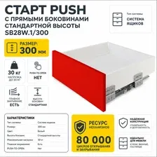 Роликовые направляющие Boyard Старт Push с прямыми боковинами стандартной высоты SB28W.1/300