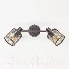Спот Citilux Робин CL535625
