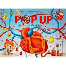 Энциклопедия Malamalama Pop Up. Анатомия (твердая обложка)
