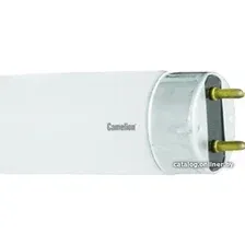 Люминесцентная лампа Camelion FT8-15W/33 G13 15 Вт 5874