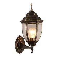 Уличный настенный светильник Arte Lamp Pegasus A3151AL-1WG