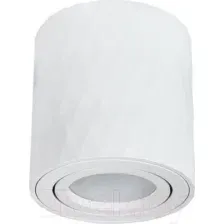 Точечный светильник Arte Lamp Fang A5559PL-1WH