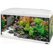 Аквариум Ferplast Capri 80 Led 100 л (белый)