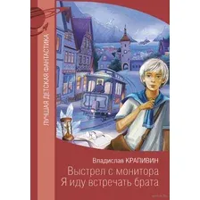 Выстрел с монитора. Я иду встречать брата