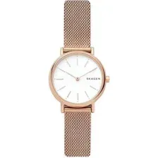 Наручные часы Skagen SKW2694