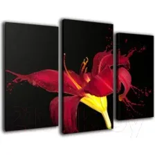 Картина модульная Arthata m-000284 (75x50)