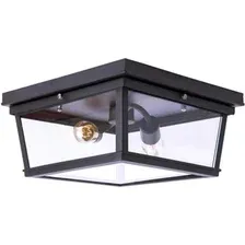 Потолочный светильник Loftit LOFT3110-2C