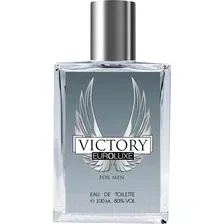 Туалетная вода Euroluxe Seduction Victory For Men (100мл)