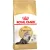 Корм Royal Canin Persian Adult для кошек 4 кг