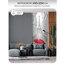 Фотообои Citydecor Красный зонт 100x254 см (флизелиновые с виниловым покрытием)
