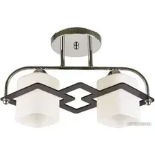Люстра средней высоты Mirastyle BL-15156/2 CR