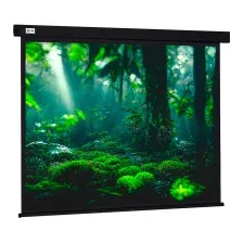 Проекционный экран Cactus Wallscreen CS-PSW-213X213-BK