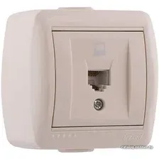 Розетка компьютерная Lezard Nata 710-0300-139 (кремовый)