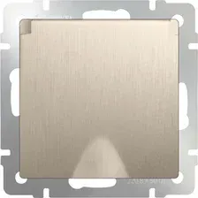 Розетка Werkel WL10-SKGSC-01-IP44 (шампань рифленый)