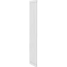 Радиатор стальной Royal Thermo Insignia C2180 - 06 секций RAL9016